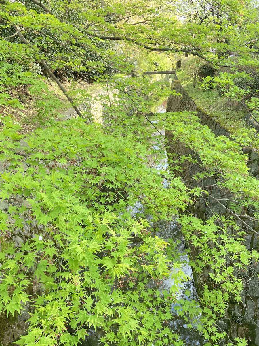 ゆめひろ♪ tweet media