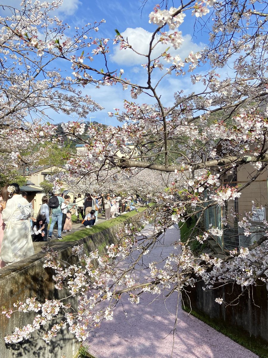 ゆめひろ♪ tweet media