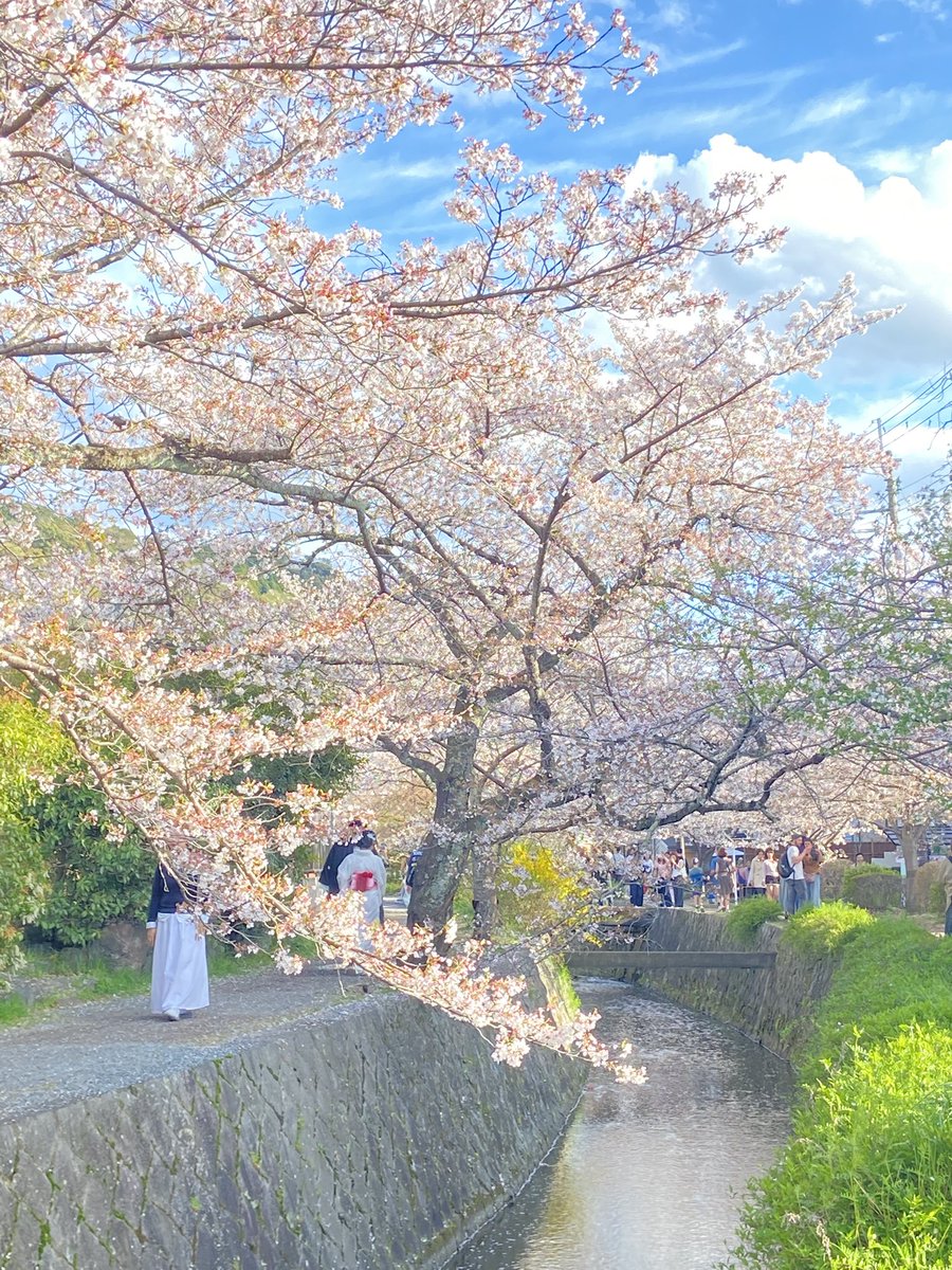 ゆめひろ♪ tweet media