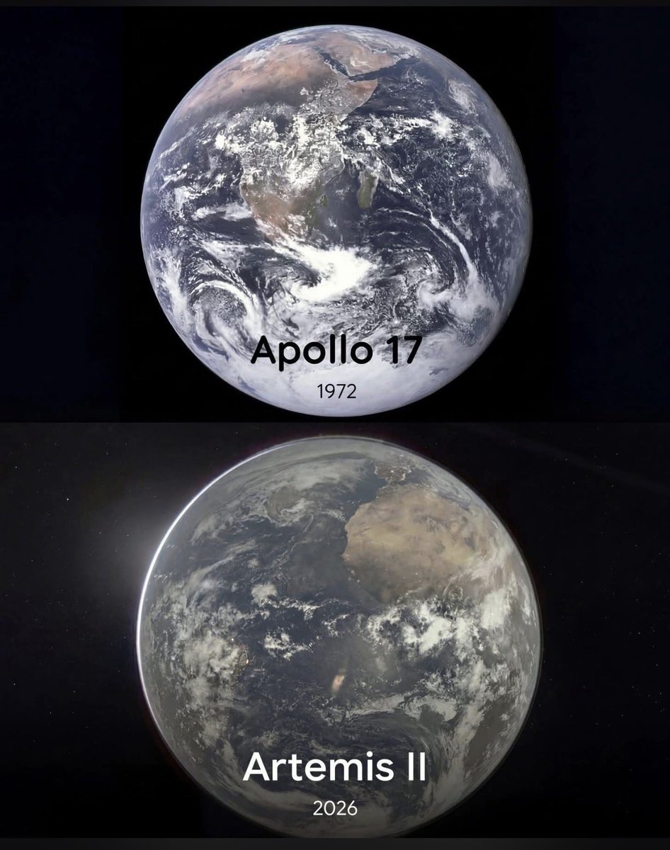 Concerned Citizen tweet media