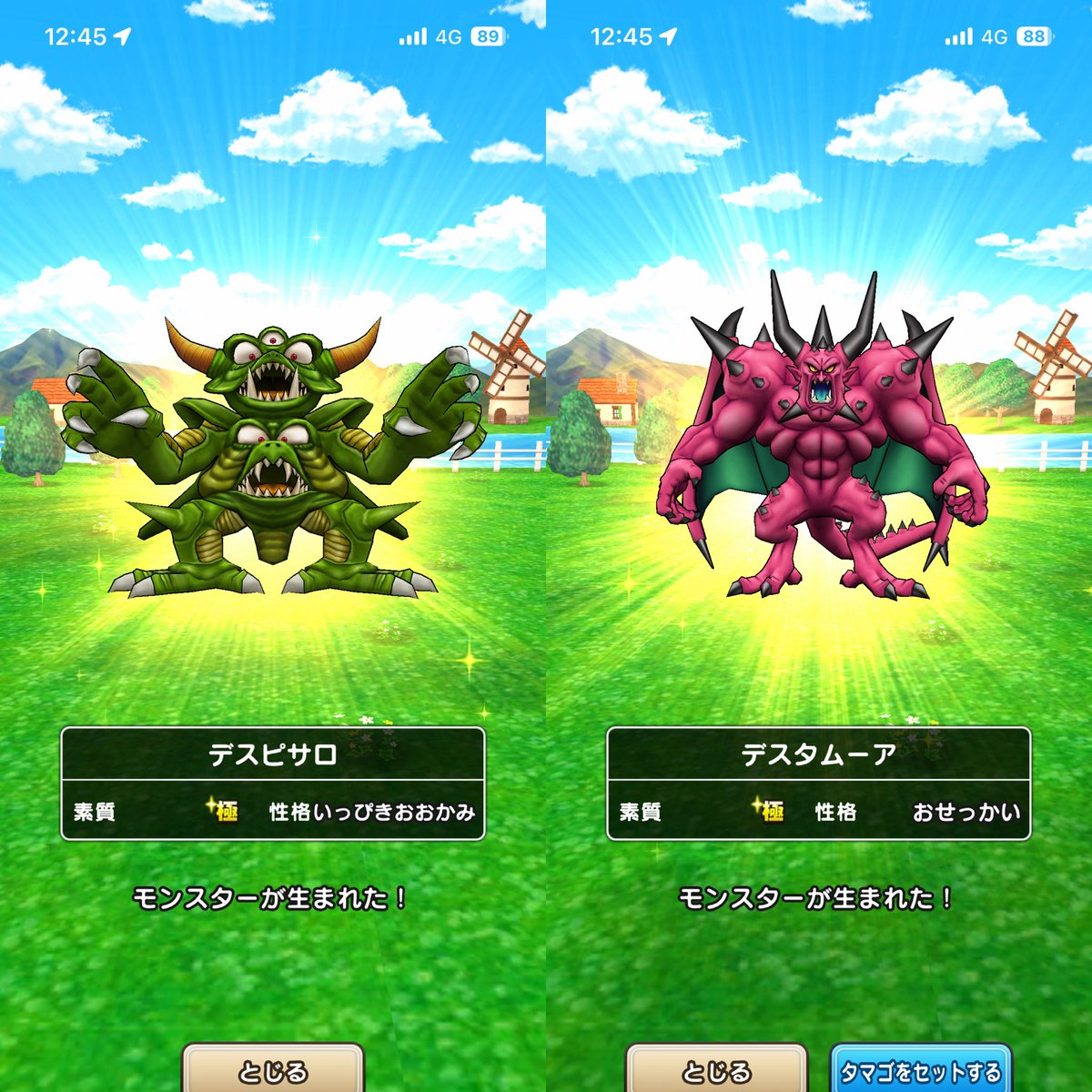 ここあ@DQW tweet media