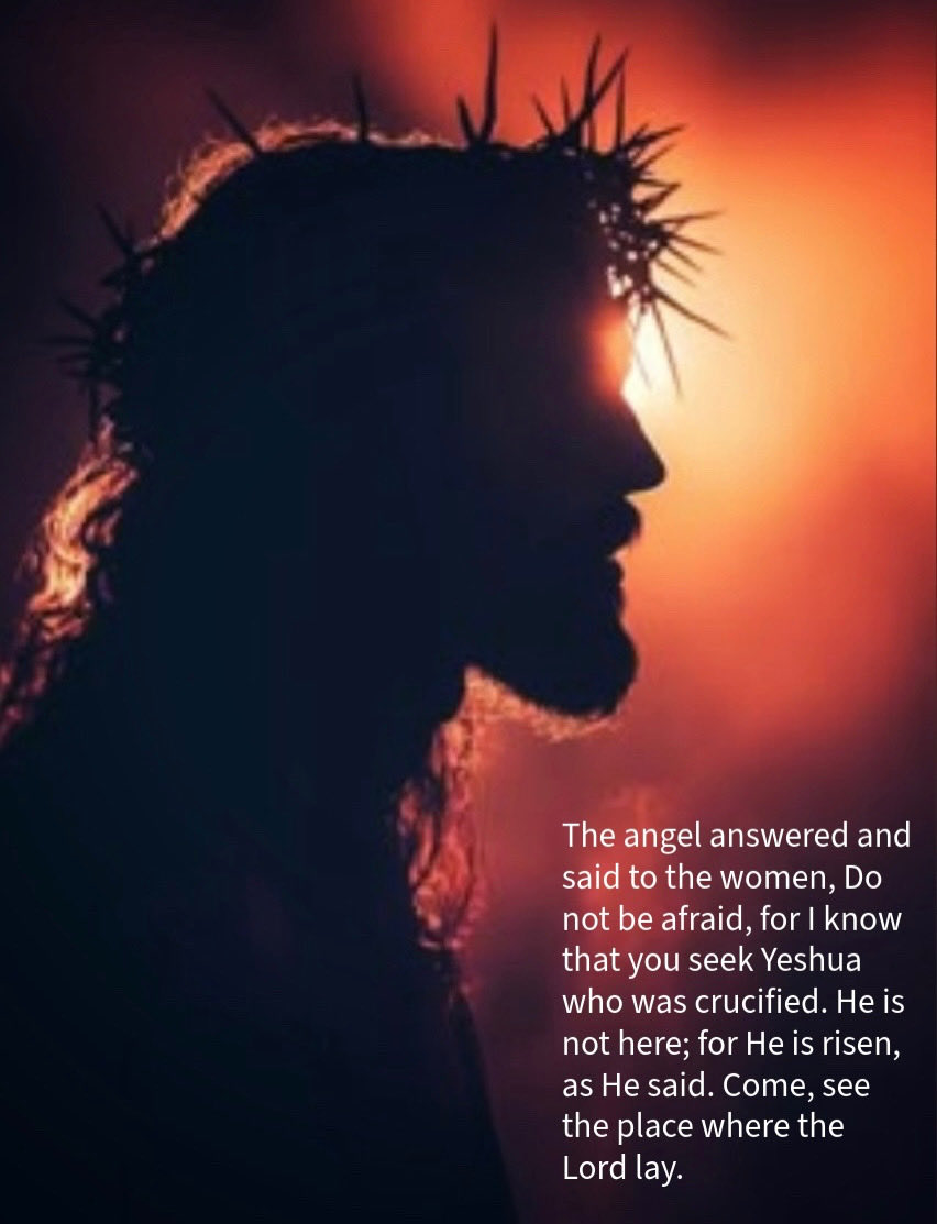 Danny Doherty tweet media