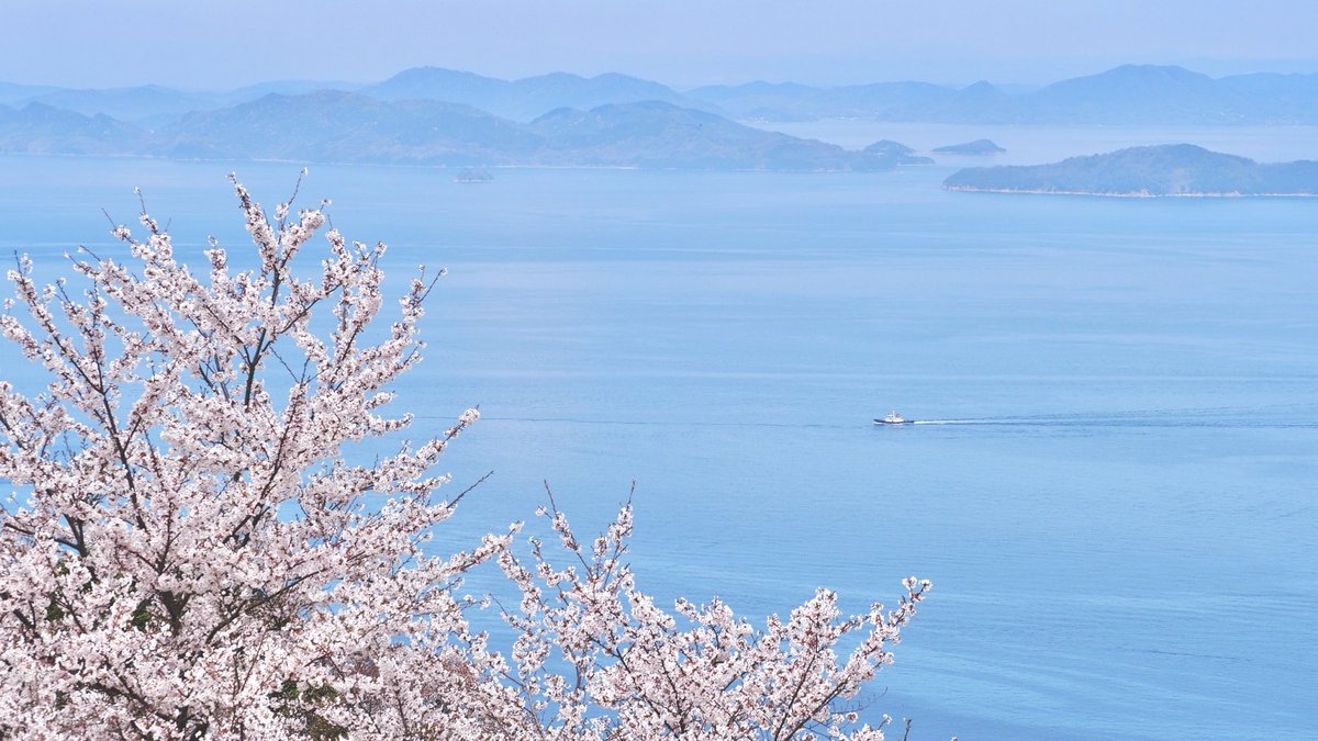 kyoka_tenki's tweet photo. 紫雲出山に行ってきました。
桜と瀬戸内海の絶景！ https://t.co/nZUf0vTRdo