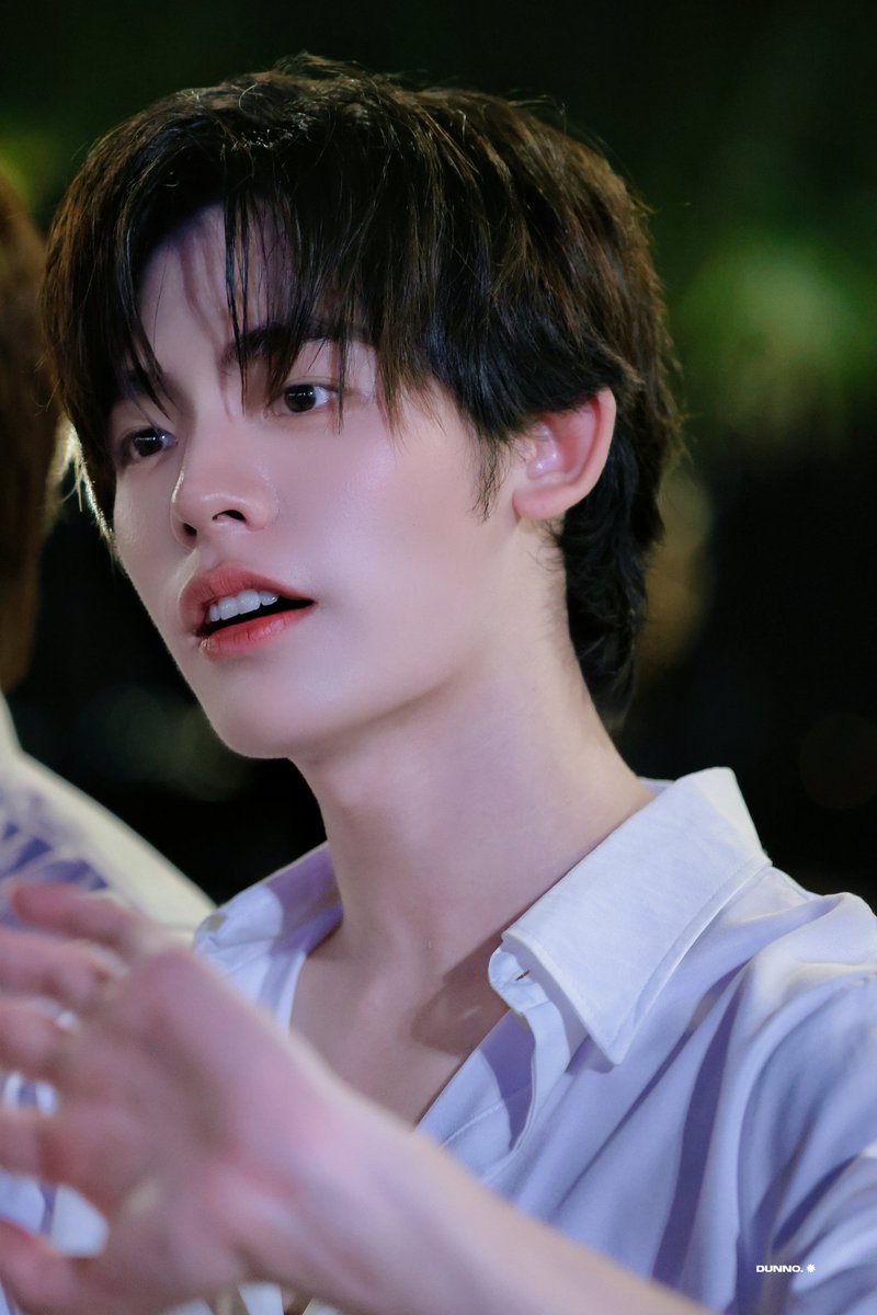 astralzero 🐺🪽 (slow) tweet media