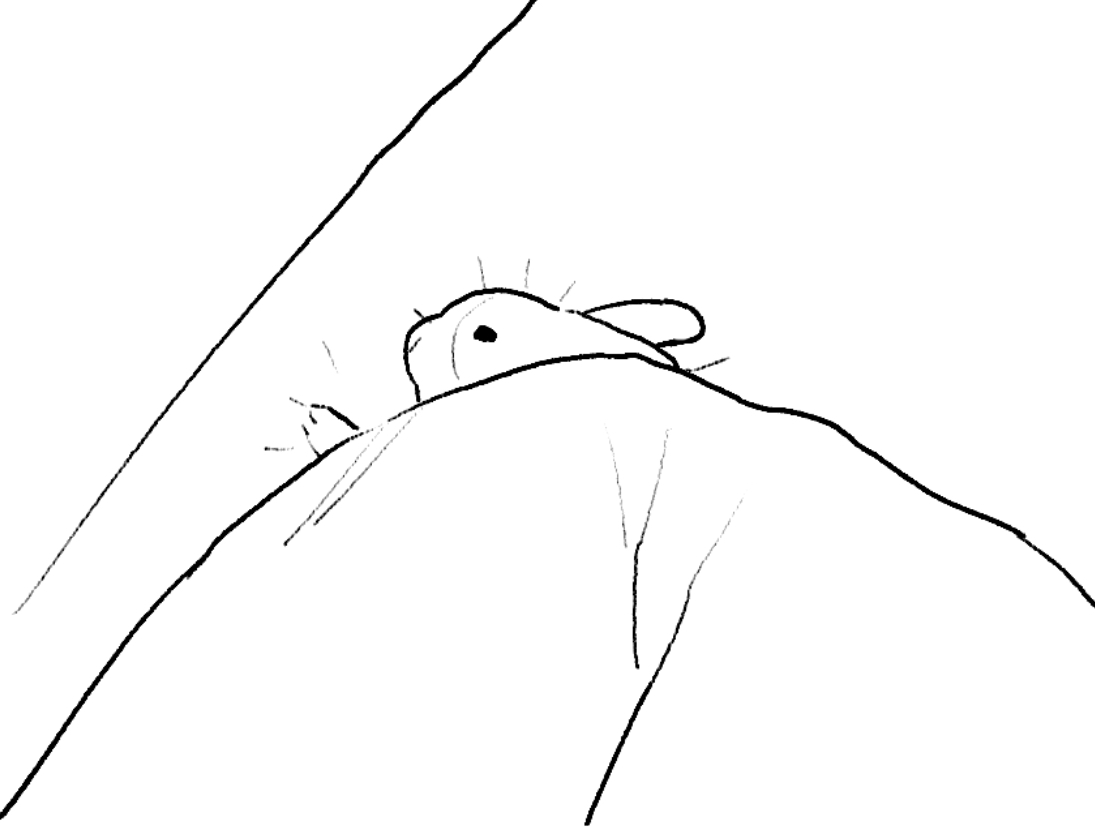 토끼 그리는 계정 tweet media