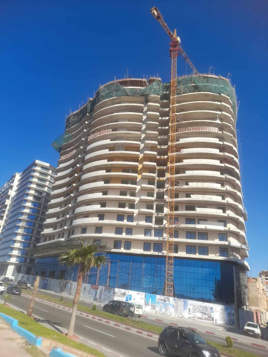 Algeria Project tweet media