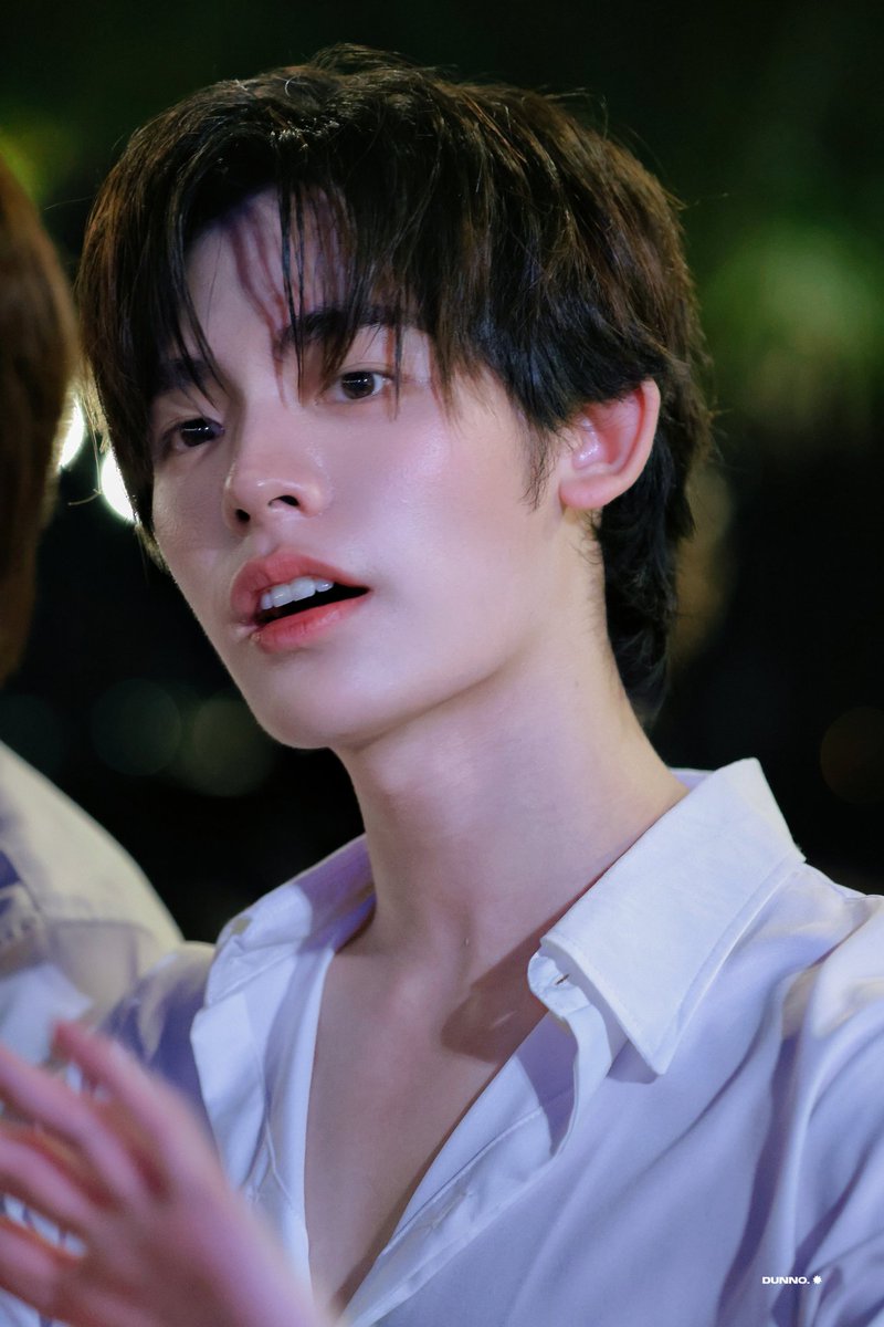 astralzero 🐺🪽 (slow) tweet media