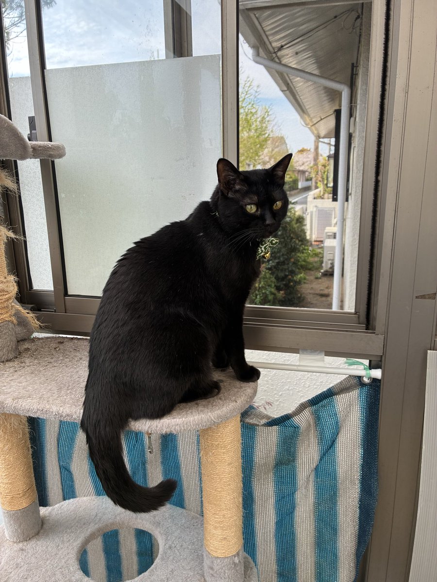 食ぱん大好き「ぱんおじさん」 tweet media