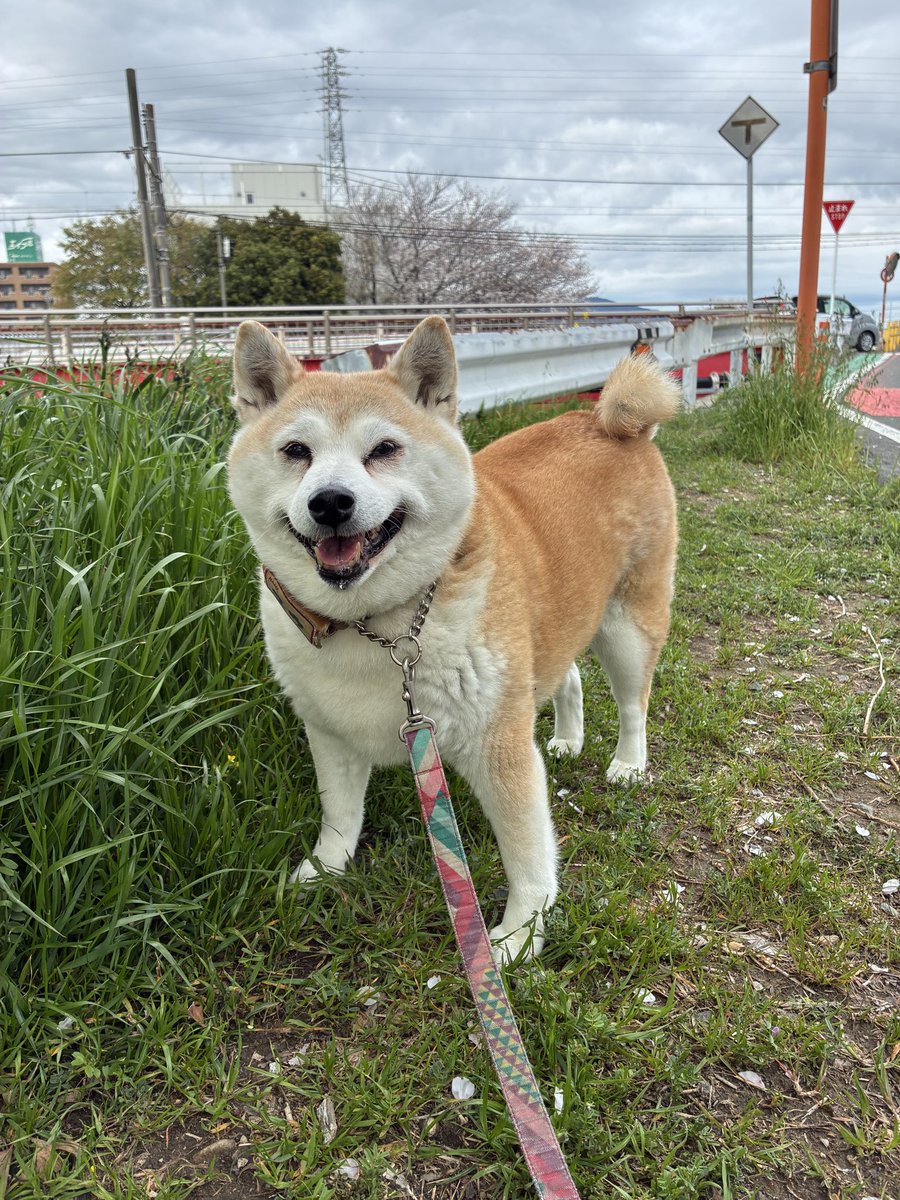 食ぱん大好き「ぱんおじさん」 tweet media