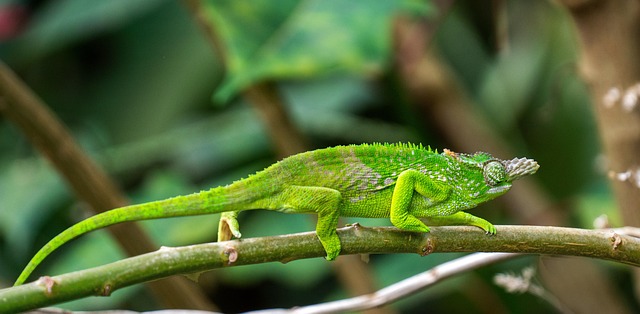 Lisa Cobb tweet media