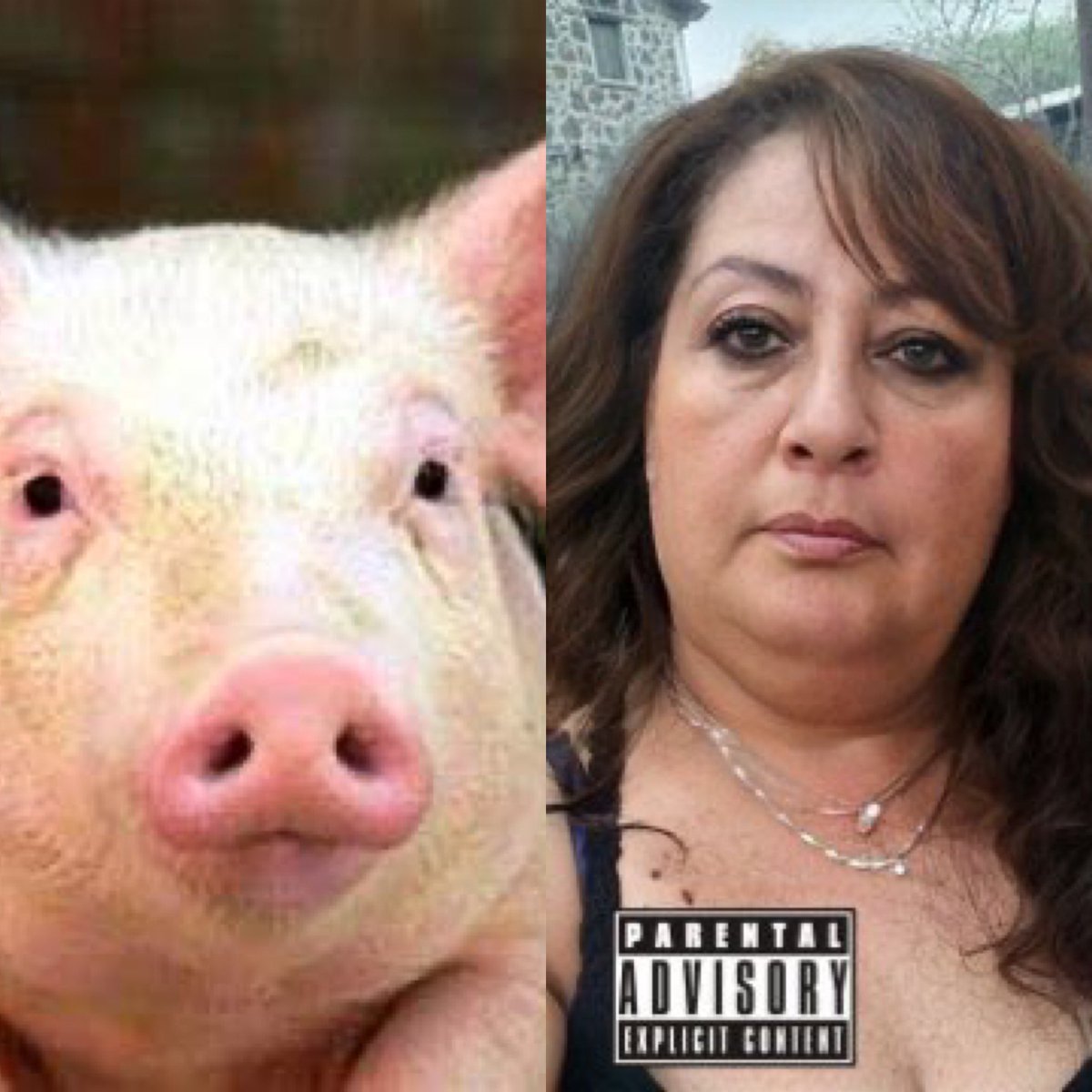 🤠🤠 tweet media