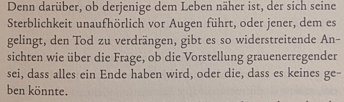 der IS unterwandert die gender reveal Szene tweet media