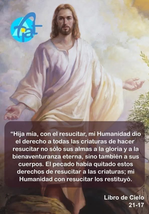 DIVINA VOLUNTAD tweet media