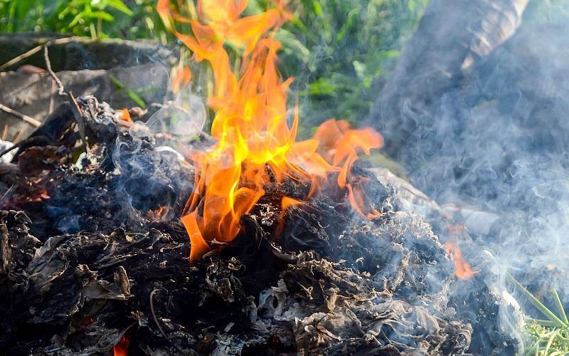 DayakDaily tweet media