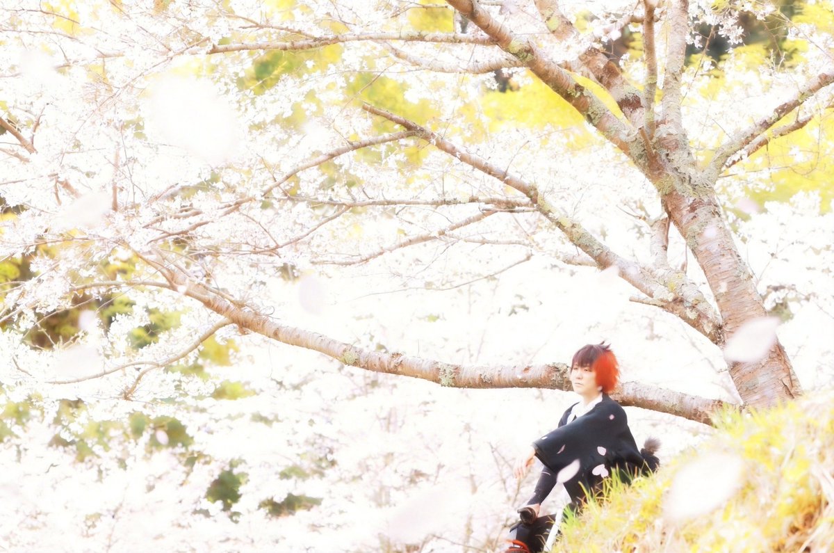 2日連続桜撮影ー!!
めちゃくちゃ楽しかった！
肩バッキバキww