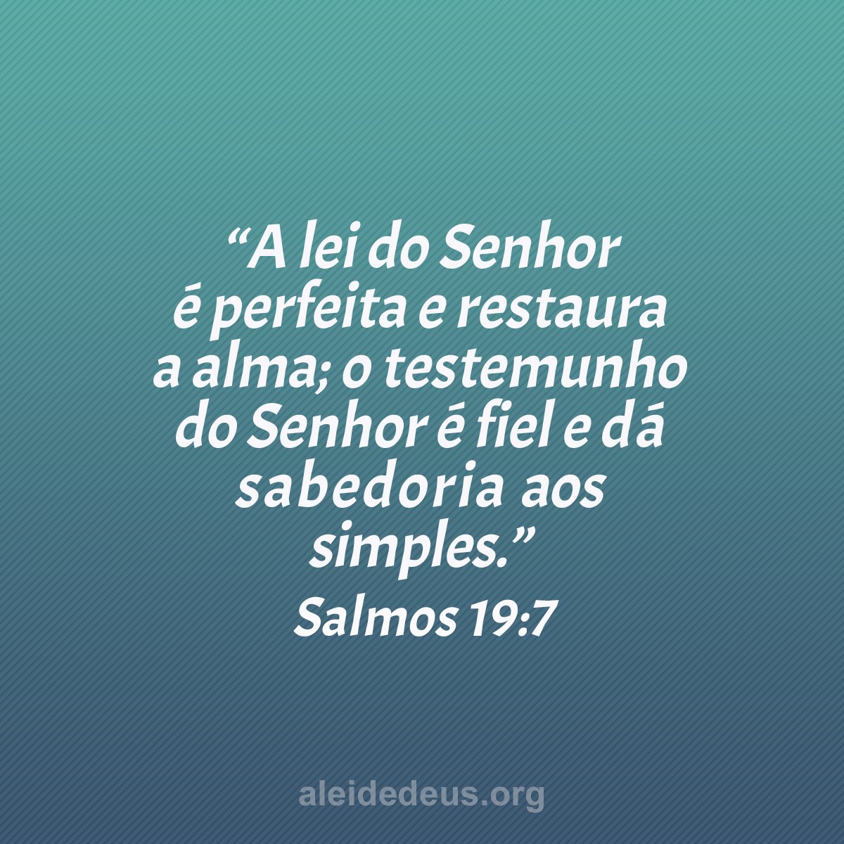 Semeadores da Palavra tweet media