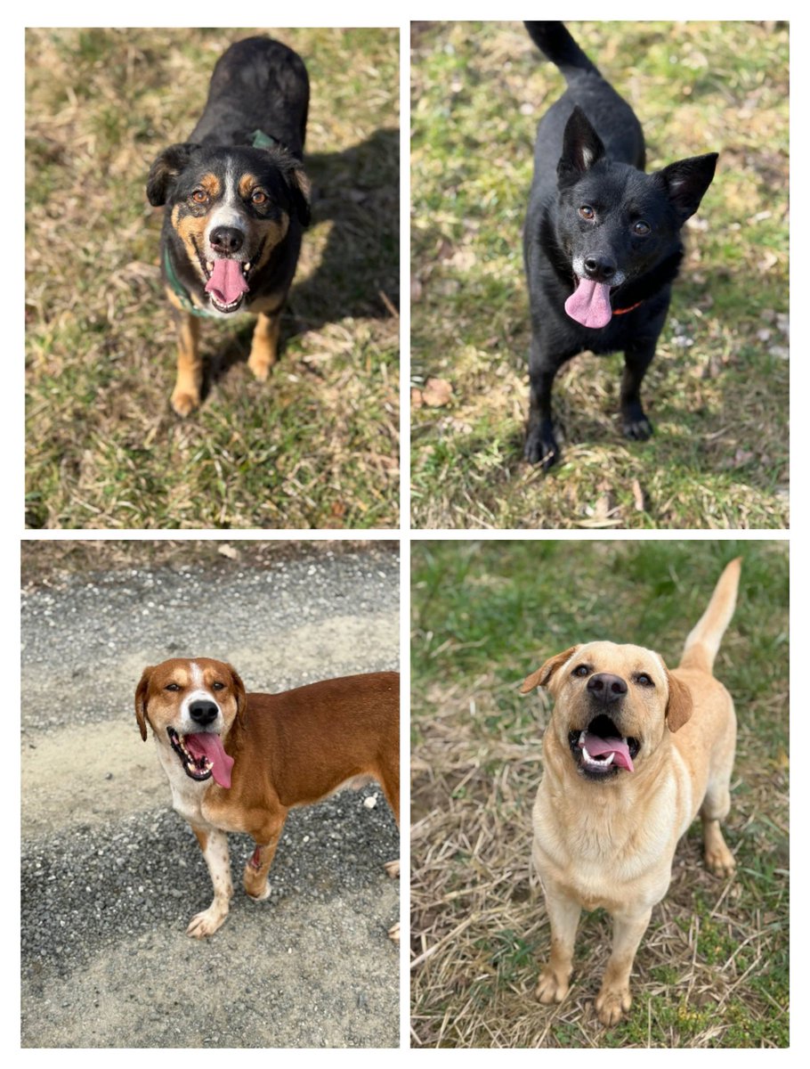 Prijedor Emergency tweet media