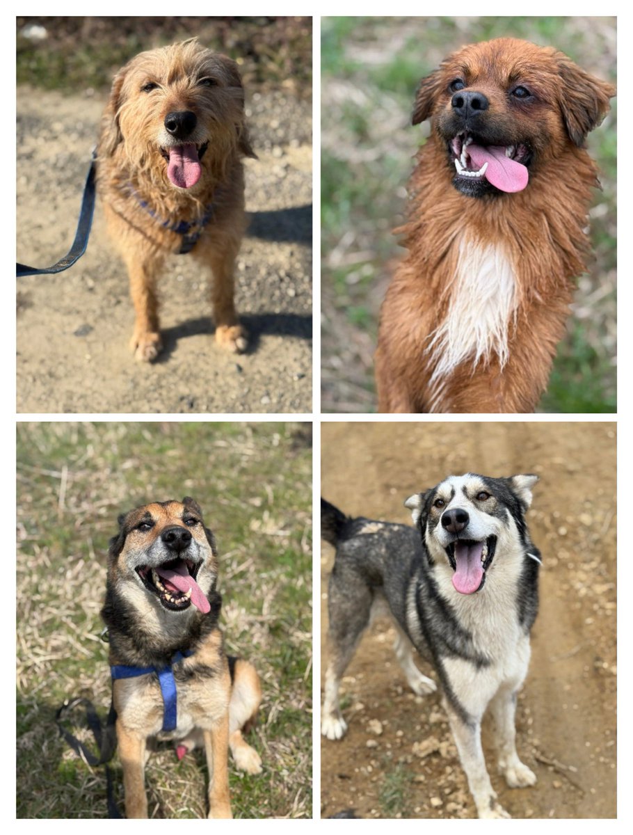 Prijedor Emergency tweet media