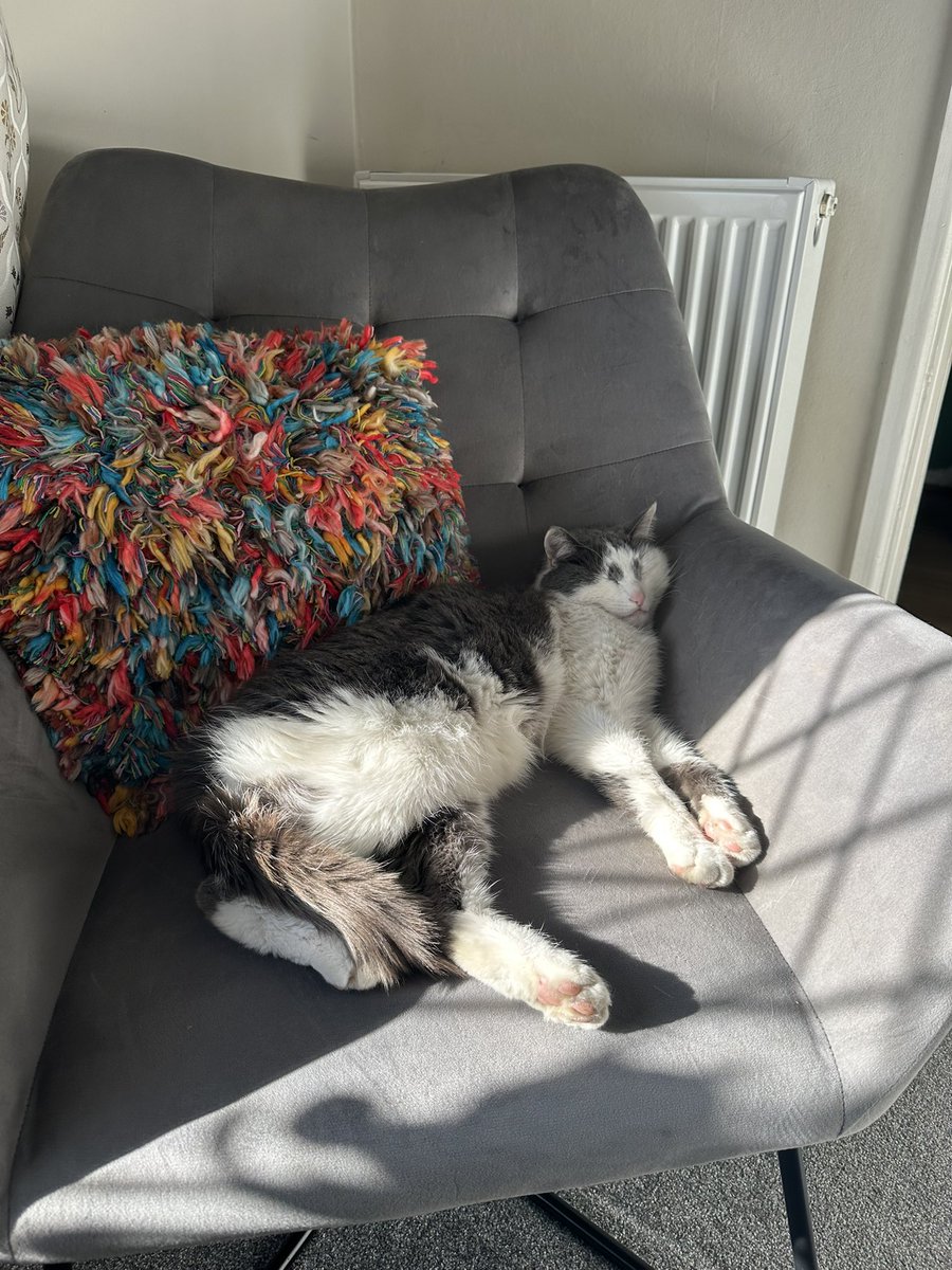 Millie 🏁 tweet media