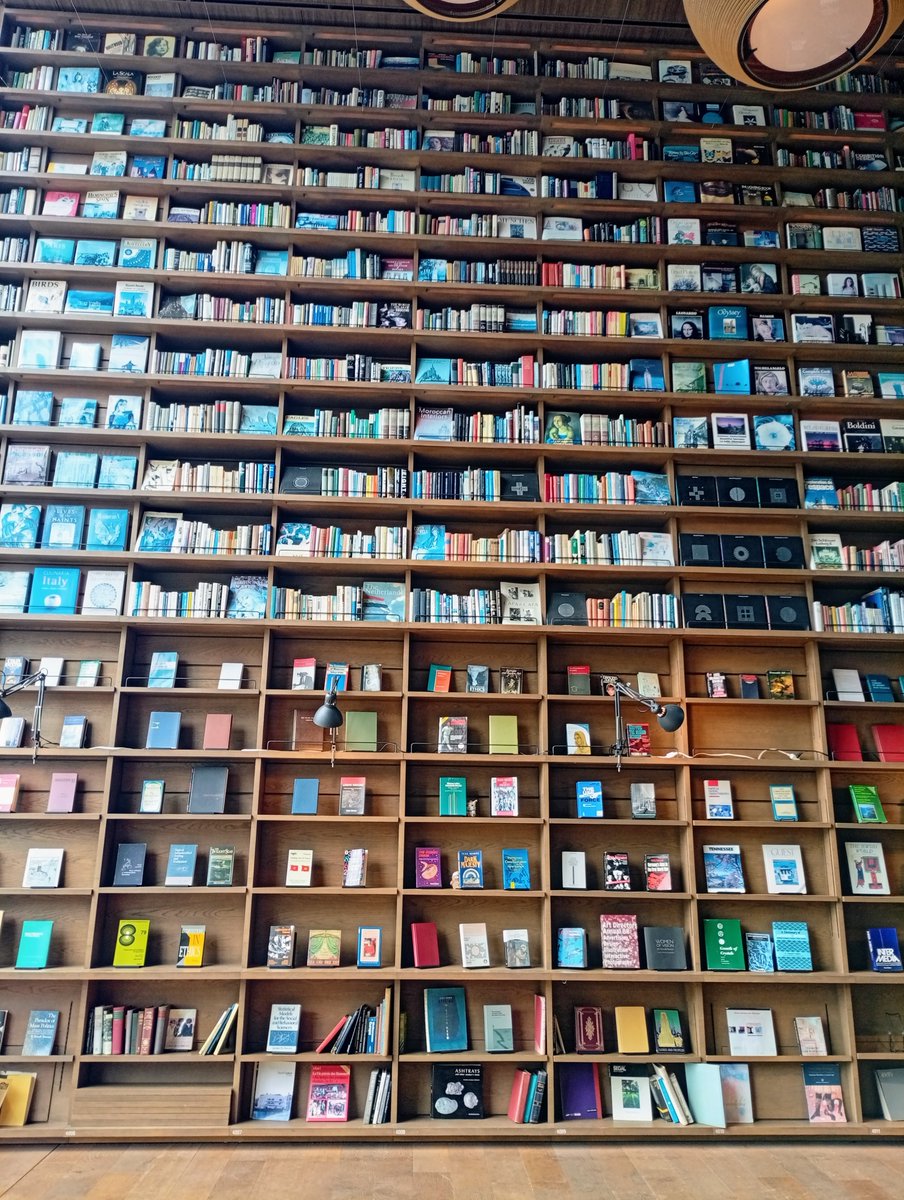 イヌシマ tweet media