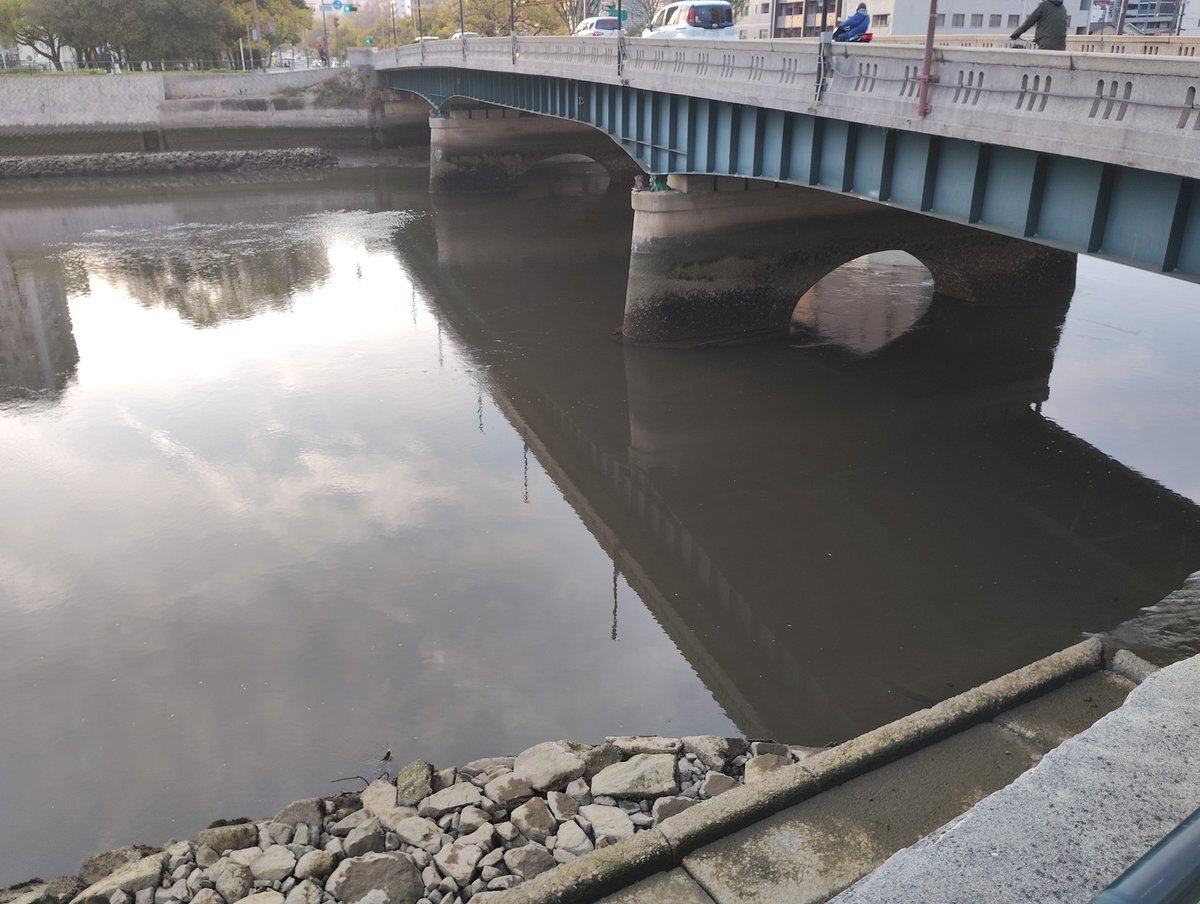 SS@太秦萌 tweet media