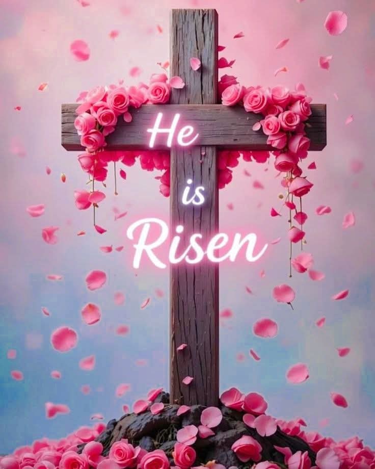 Norah Frías-Muñoz tweet media