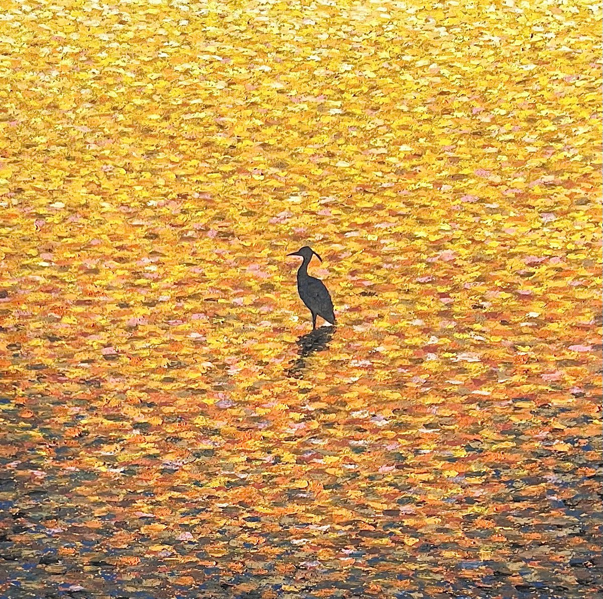 Keita Tsuji tweet media