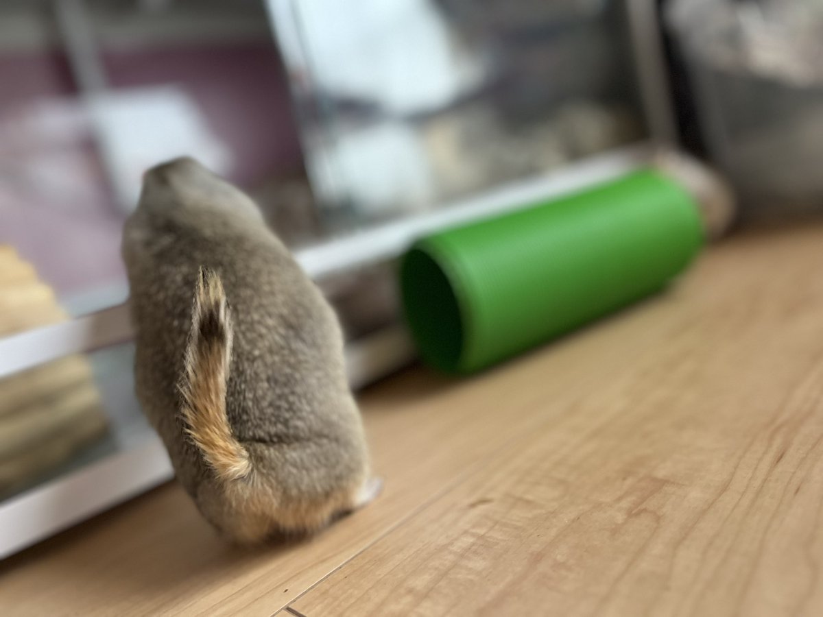 無事何事もなく生還したリッスン。
一安心😭✨