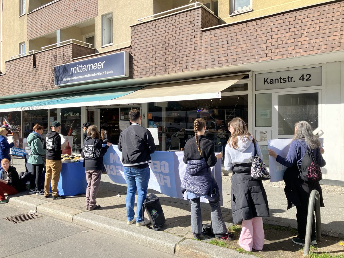 Paco Arnau tweet media