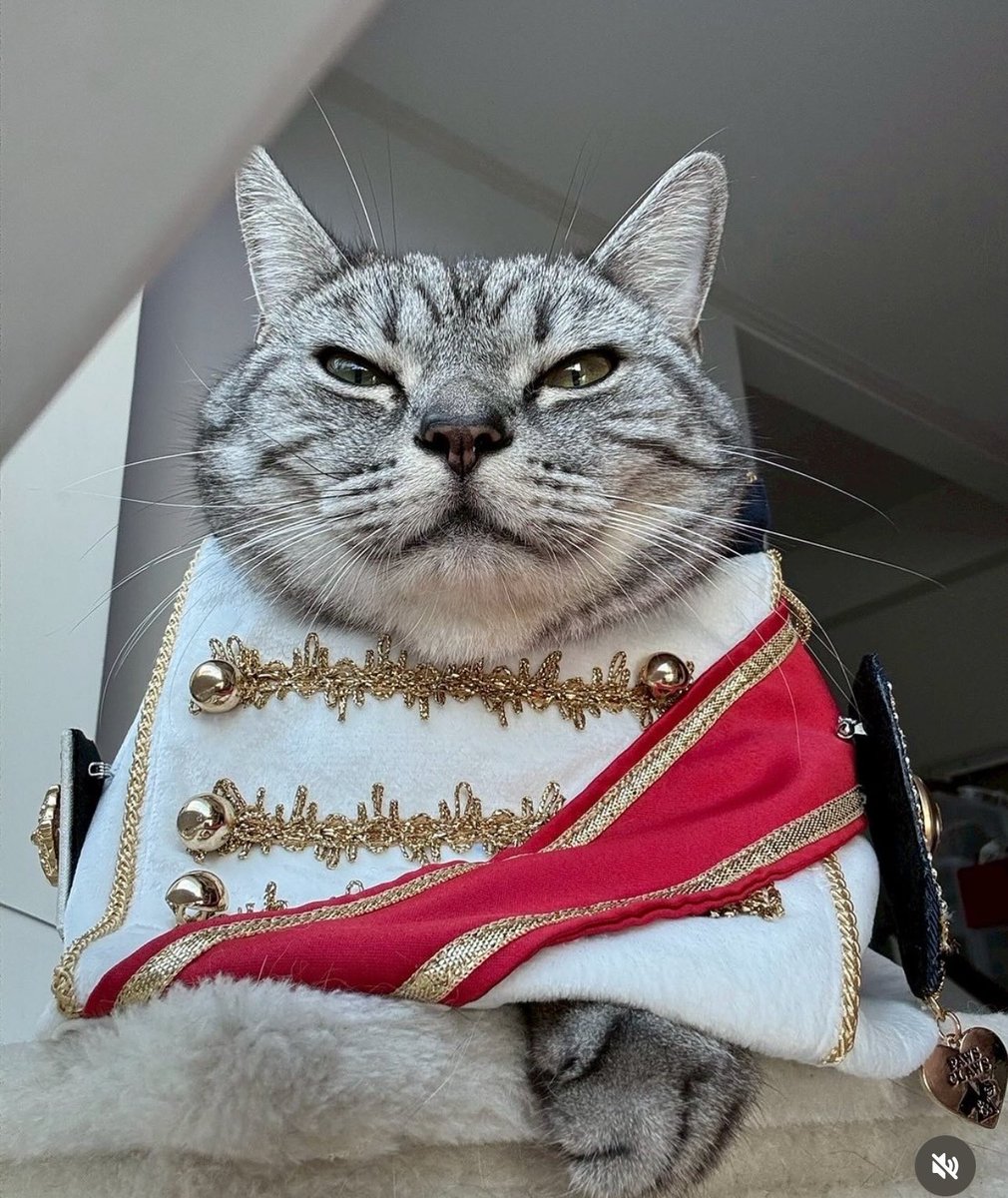 อัยเจ๋ง ツ tweet media