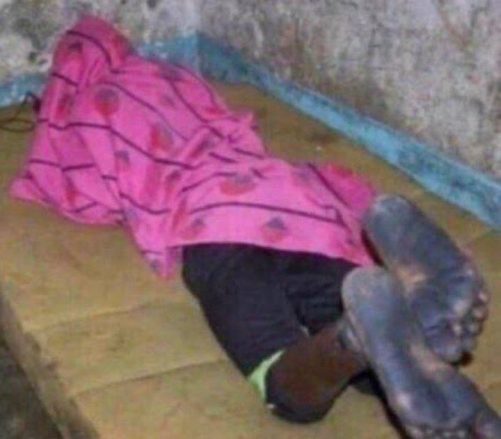 Doll ♒ 1/21 tweet media