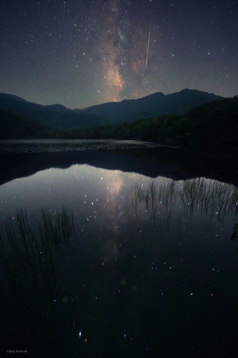 Negi Asatsuki tweet media