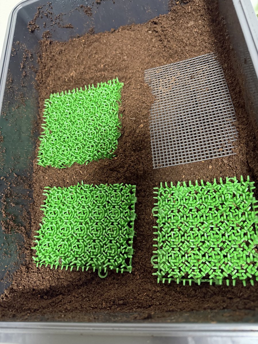 ミルキーメガソマカムパニー tweet media