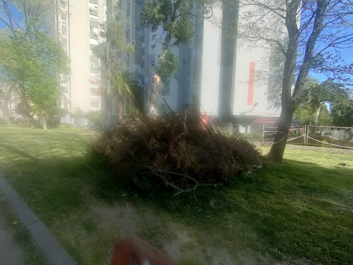 Real 🇪🇸 ⚫✝️ tweet media