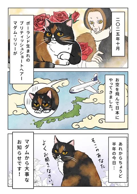 【マダムからご報告🌹】 