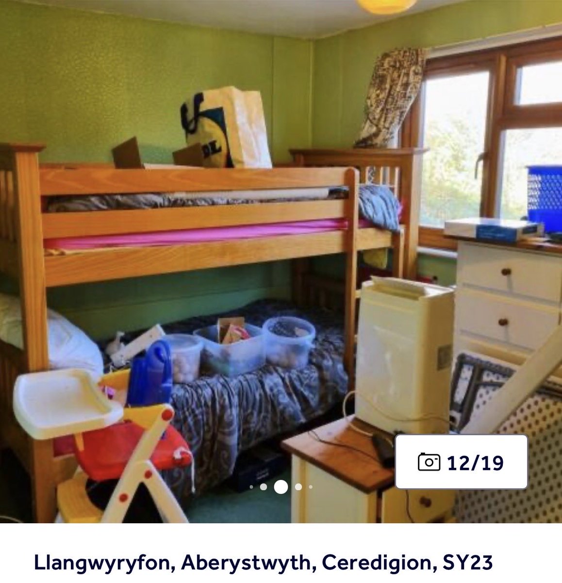 Luke Robert Black 🌳 tweet media