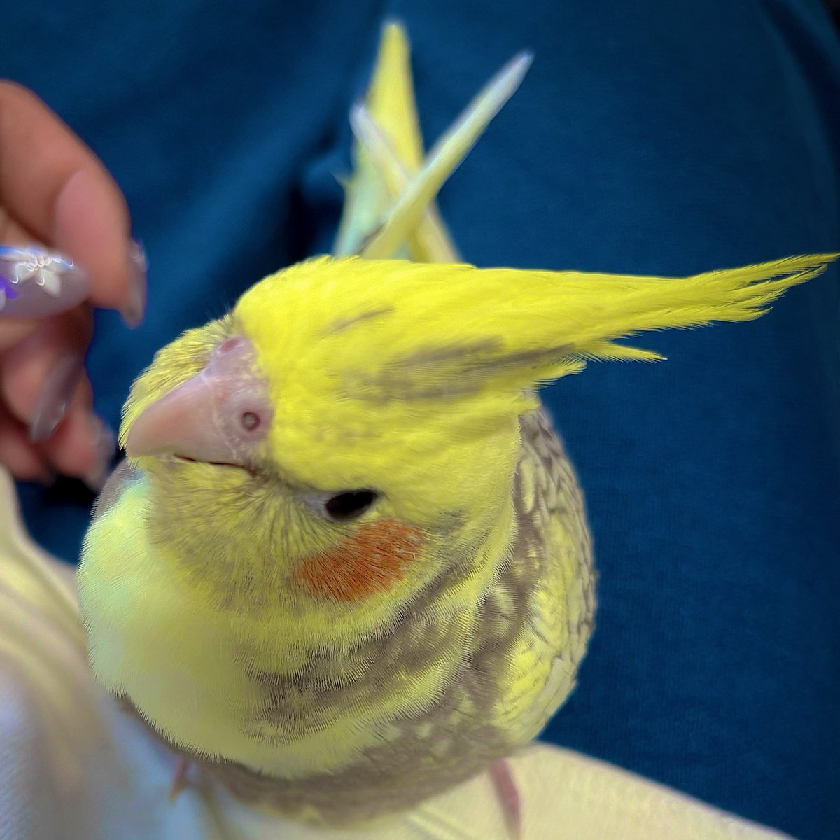 愛♡𝗟𝗨𝗩𝟮𝗣𝗟𝗔𝗡𝗧 tweet media