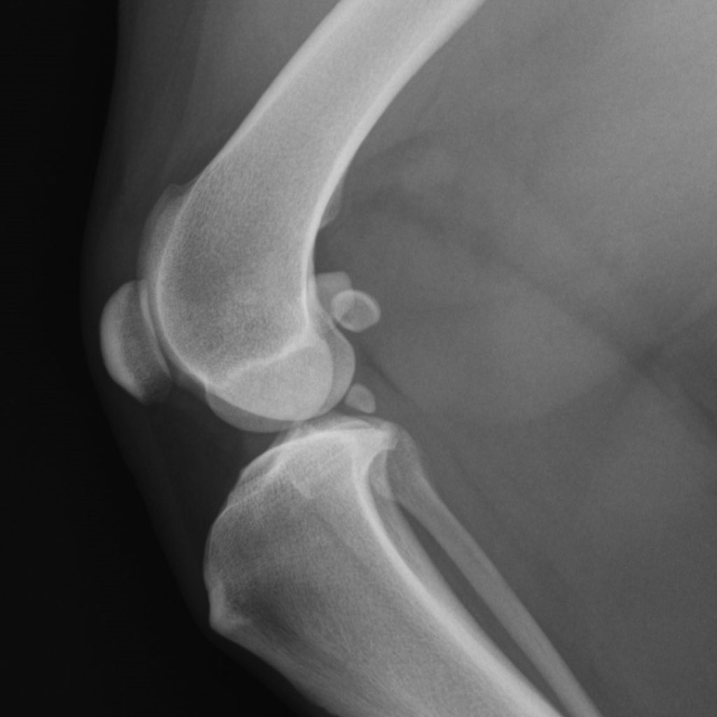 (nyunyu) رفقا tweet media