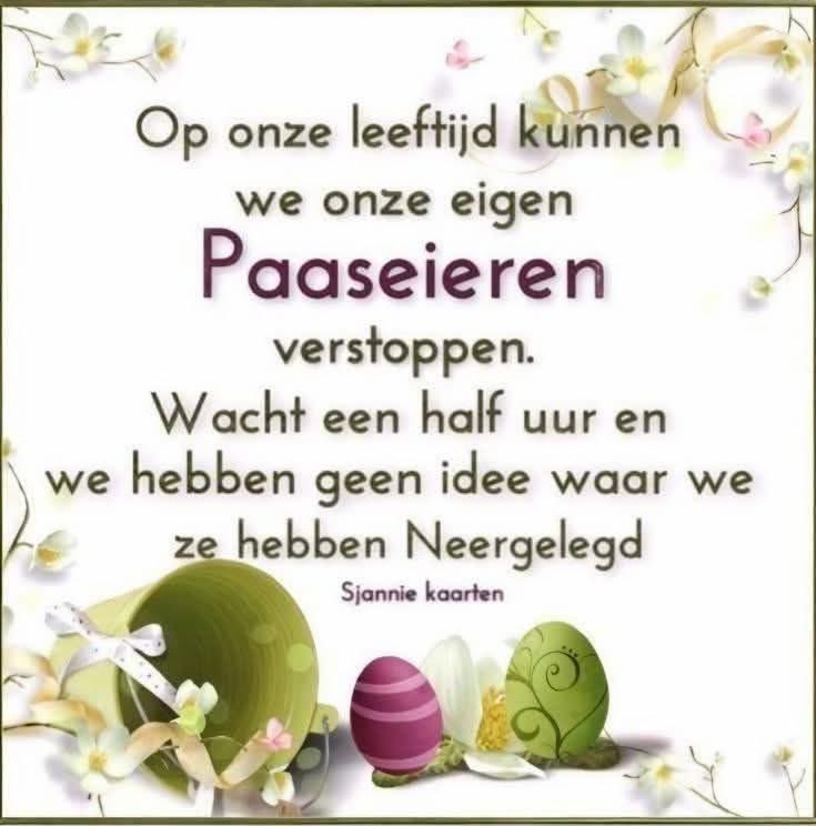 José 👩🏻‍🌾🐮🚜🎂🍰🍪🇳🇱🫖 tweet media