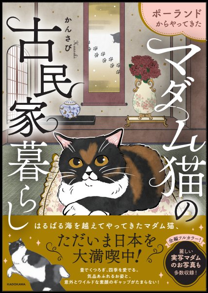 かんさび@不思議の漫画描き tweet media