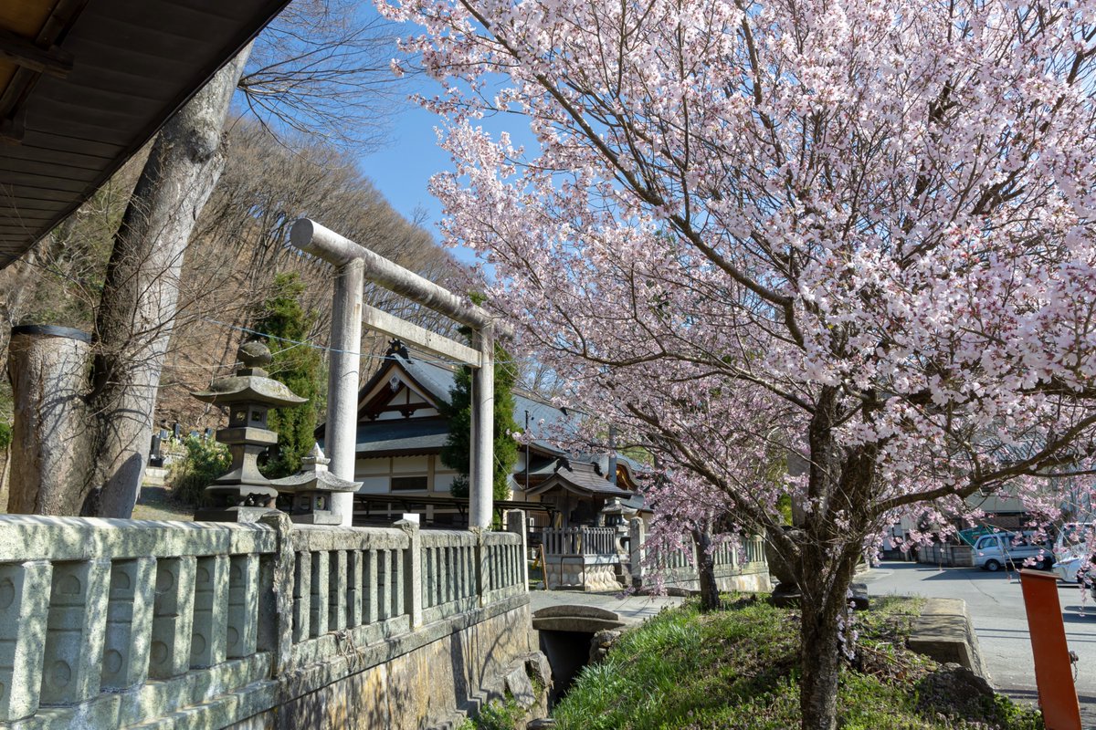 コスライ tweet media