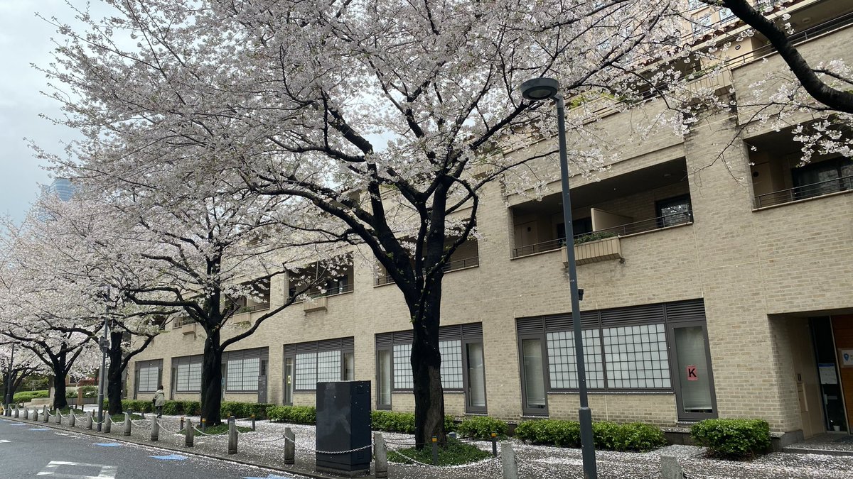 地元では花祭り