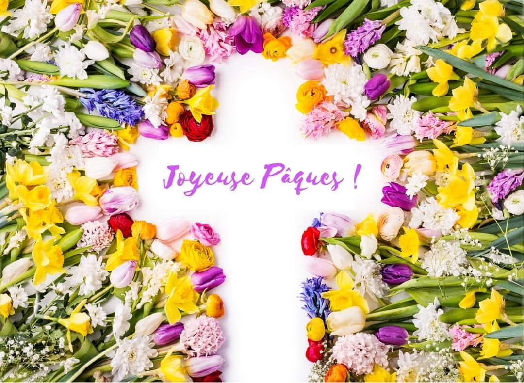 TuriRMaria's tweet photo. #Pâques 
🙏✝️🔔✨
Allèluia ! #Christ est ressuscité.
Heureuses Pâques à tous les chrétiens ; pensées émues et fraternelles vers les chrétiens d'Orient et tous ceux, persécutés pour leur foi.
Sursum corda ! 🕊️🌿 https://t.co/7gZ24lrrKm