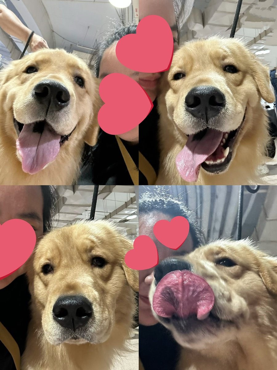 แสนซน🐝🍯 tweet media