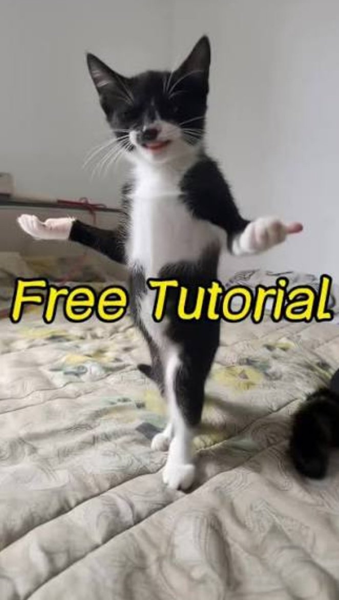 Ficapal de Llavorsí tweet media