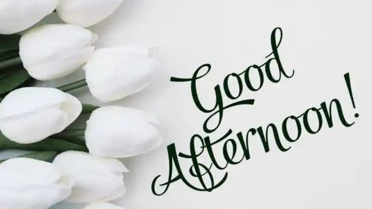 𝐏𝐫𝐚𝐧𝐞𝐞𝐭𝐡 tweet media