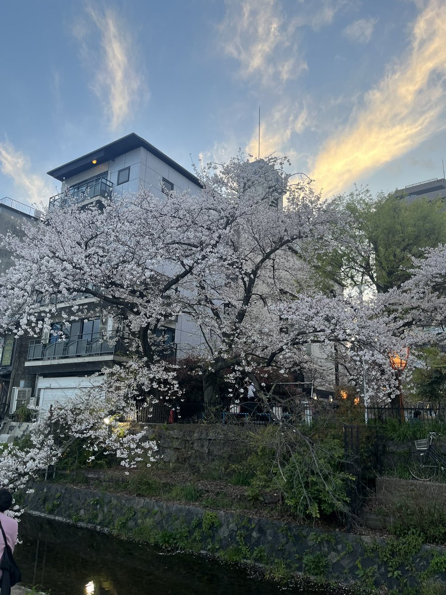 大橋吐夢 tweet media