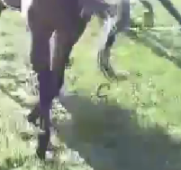 Gunhildr tweet media