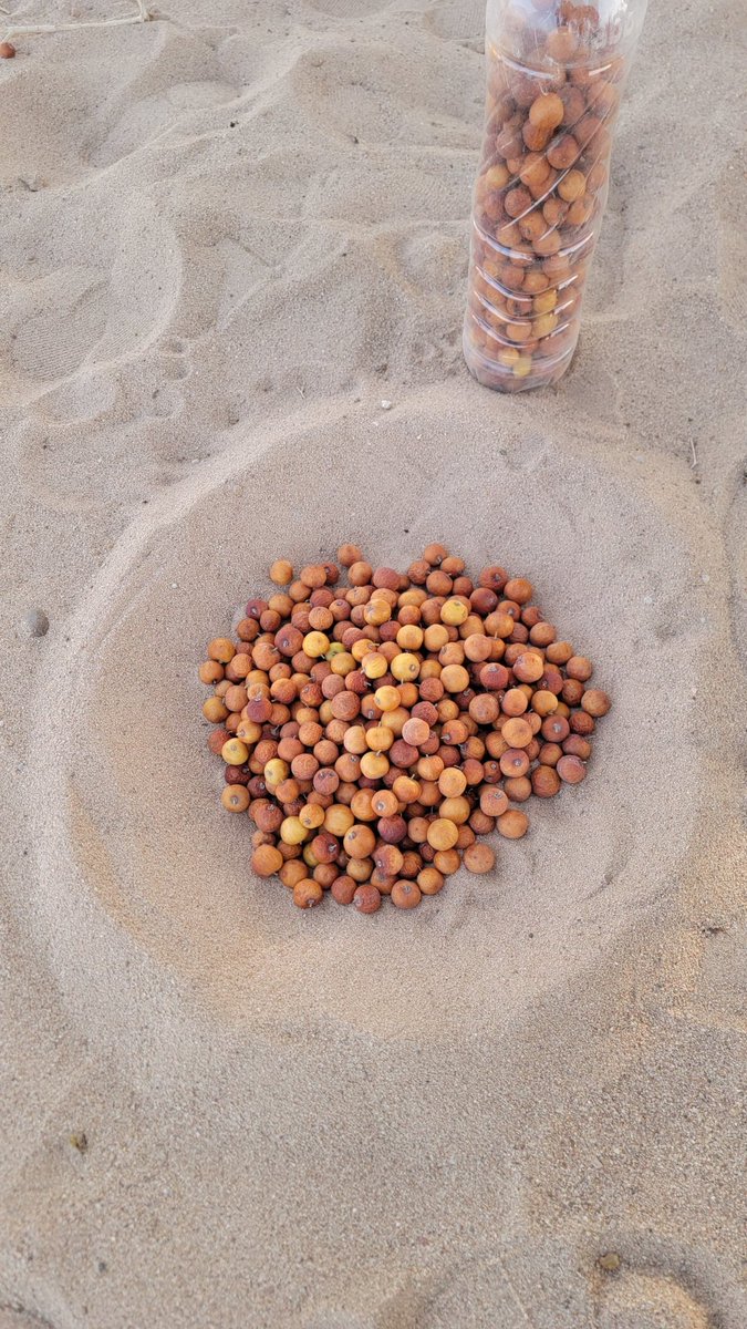 #فريق_طقس_المملكة 🇸🇦 tweet media