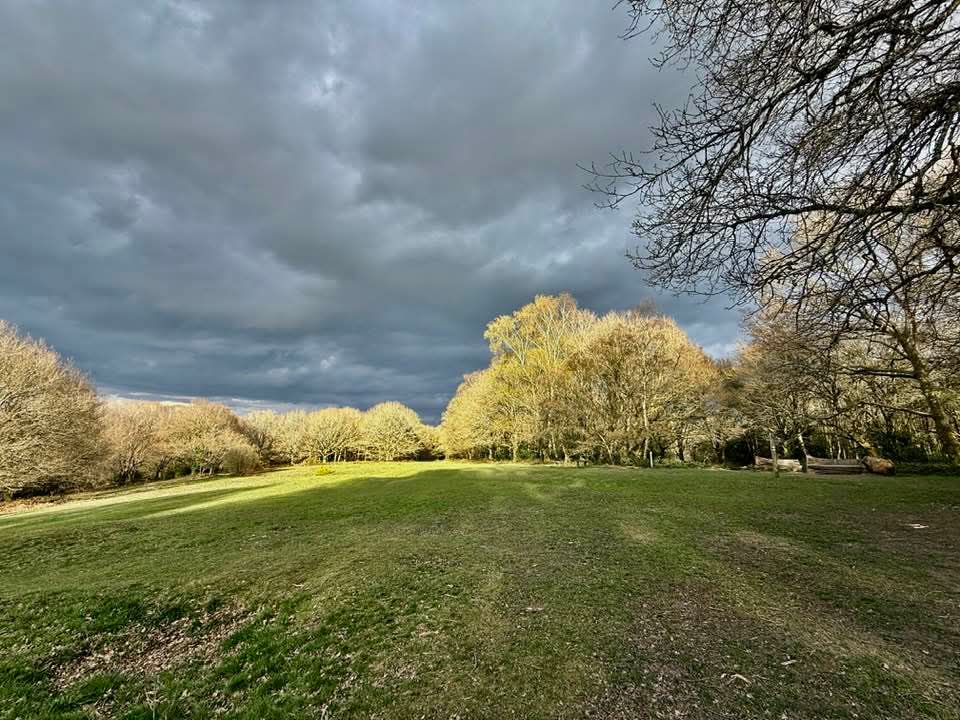 MOIZ ESUFALLY tweet media